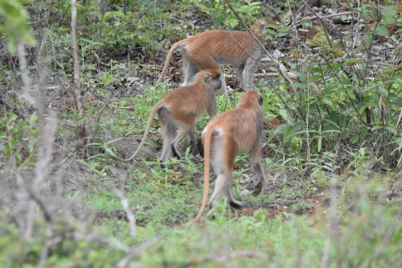Tour in Ghana Gallery Image 10