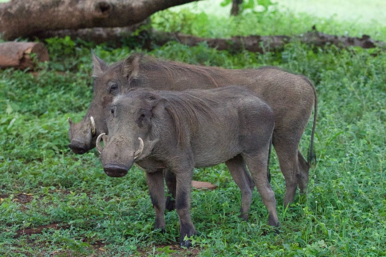 Tour in Ghana Gallery Image 11