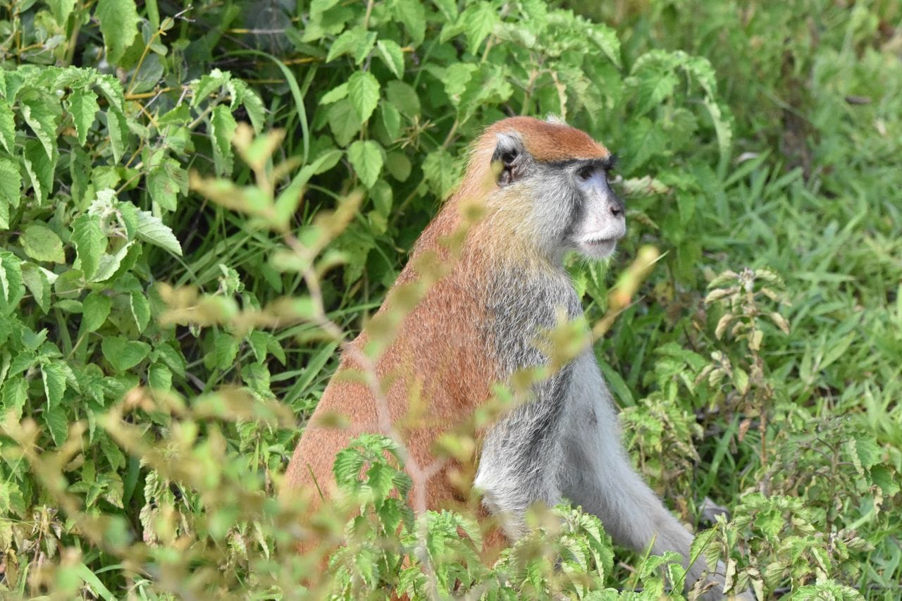 Tour in Ghana Gallery Image 12