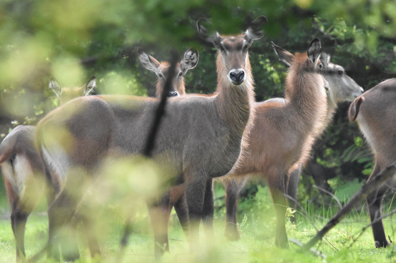 Tour in Ghana Gallery Image 13