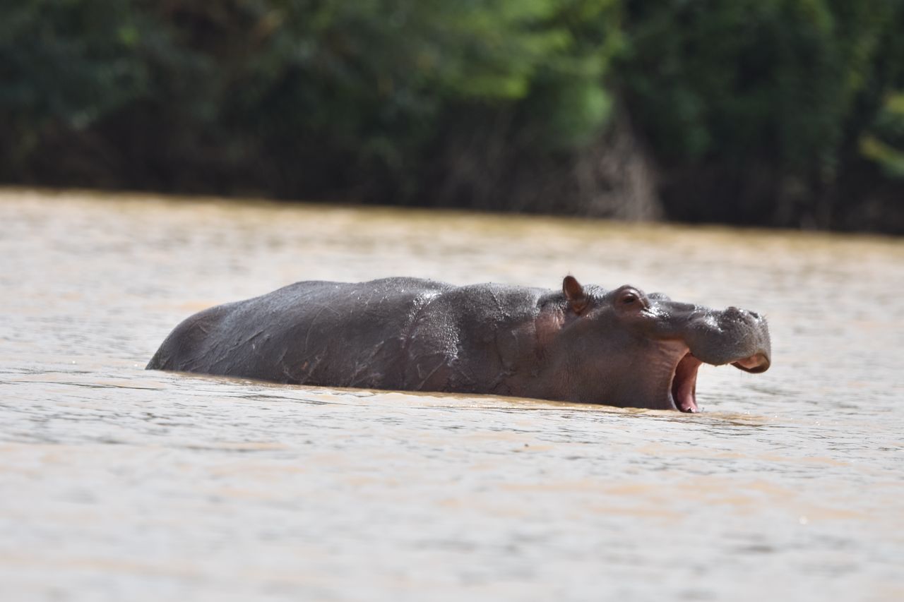 Tour in Ghana Gallery Image 14