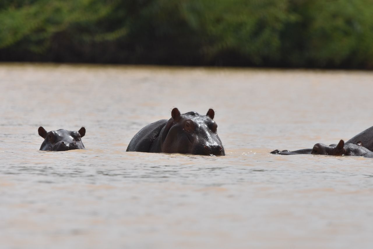 Tour in Ghana Gallery Image 15