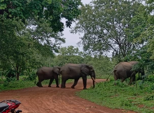 Tour in Ghana Gallery Image 5