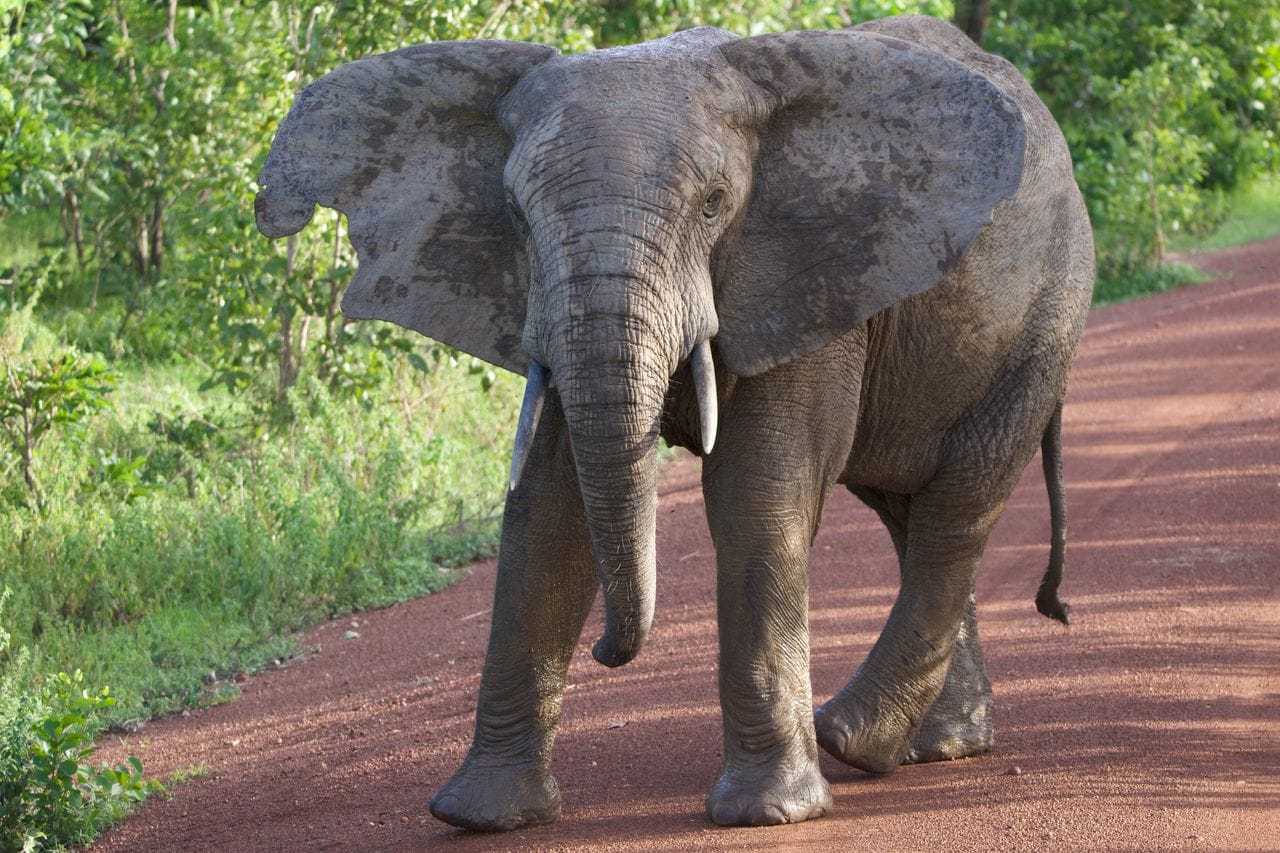 Tour in Ghana Gallery Image 6