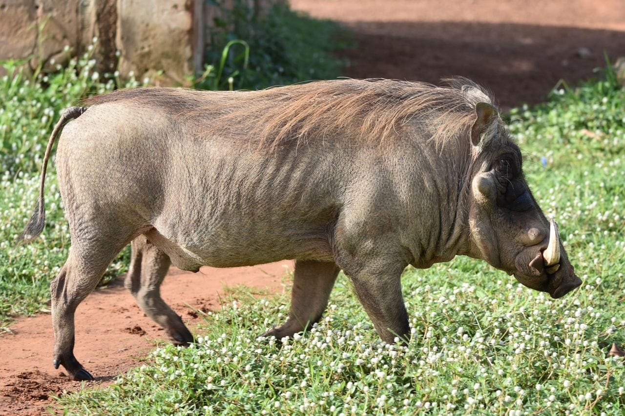 Tour in Ghana Gallery Image 7