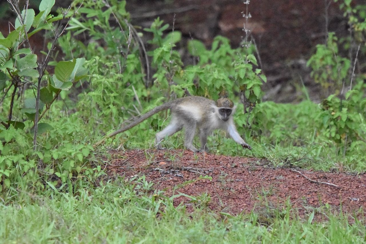 Tour in Ghana Gallery Image 8