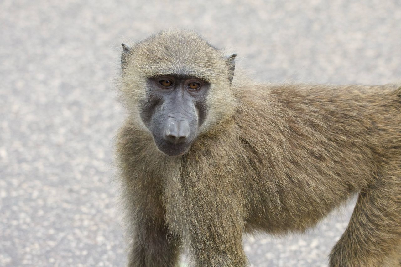 Tour in Ghana Gallery Image 9